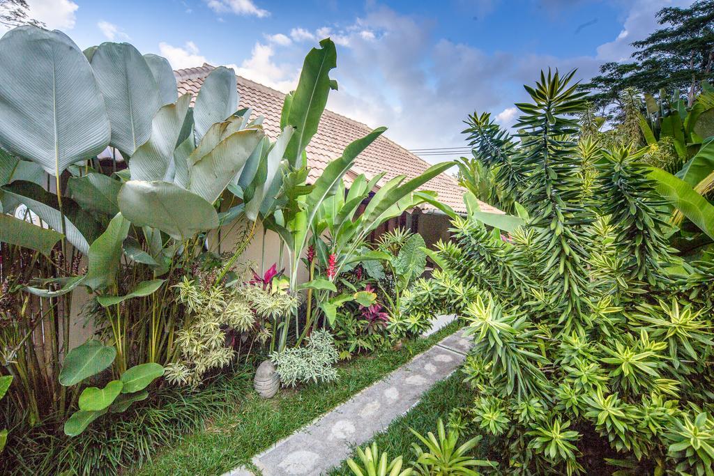 The Manipura Luxury Estate And Spa Up To 18 Person, Fully Serviced Ubud  Ngoại thất bức ảnh