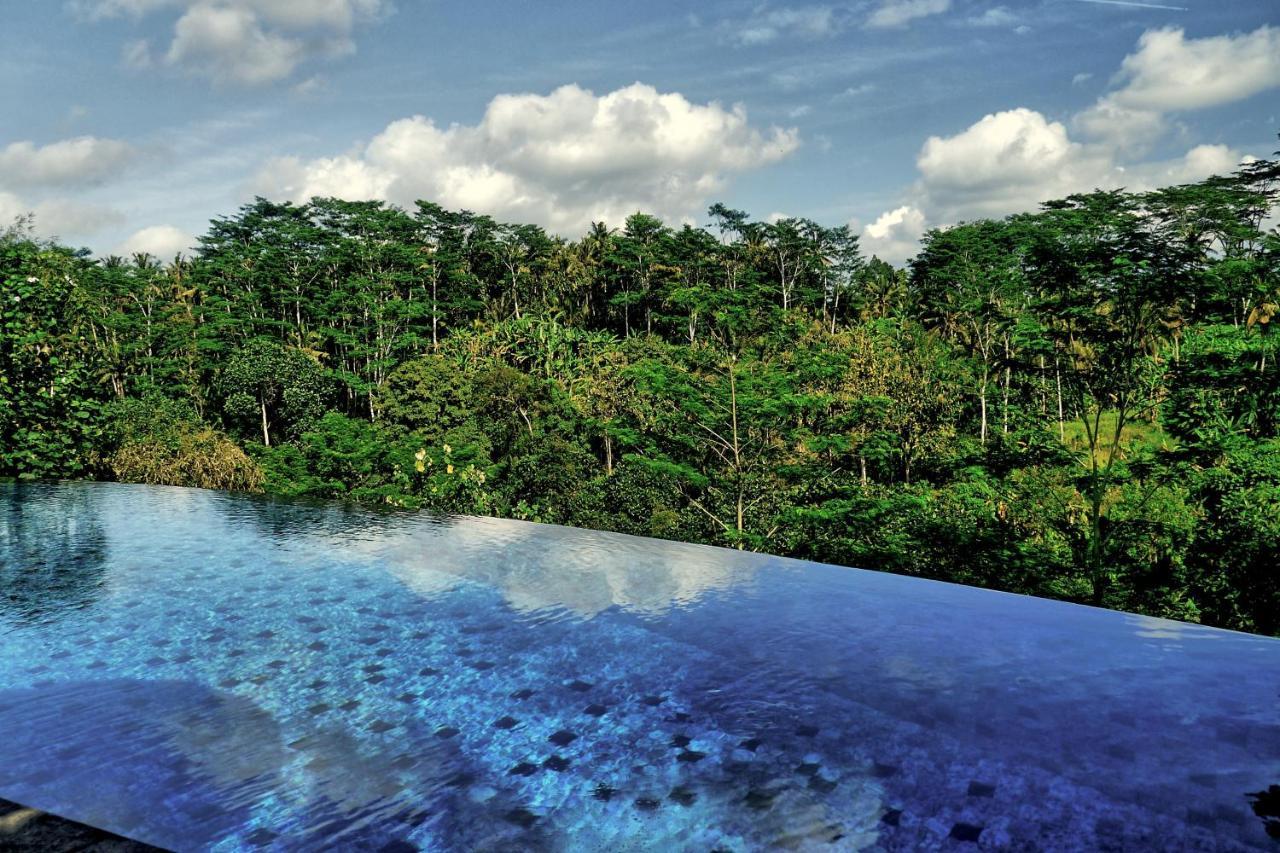 The Manipura Luxury Estate And Spa Up To 18 Person, Fully Serviced Ubud  Ngoại thất bức ảnh